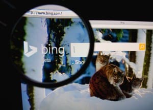 Bing Search