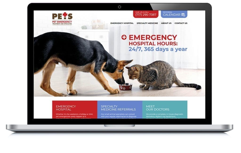 Lancaster Pets website thumbnail