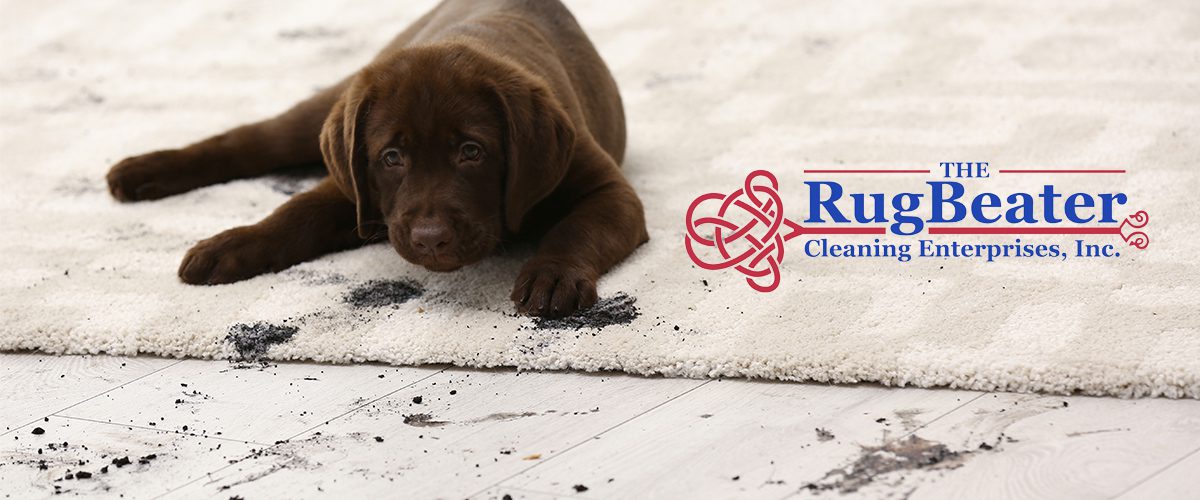 The Rug Beater case study
