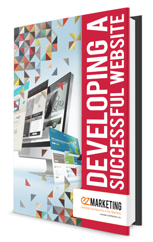 developing a successful website book cover