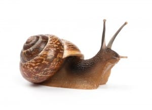 shutterstock_143565979